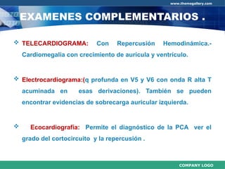 Comprehensive Overview of Congenital Heart Diseases: Etiology ...