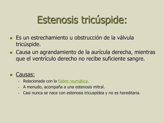 Estenosis tricúspide:
   Es un estrechamiento u obstrucción de la válvula
    tricúspide.
   Causa un agrandamiento de la aurícula derecha, mientras
    que el ventrículo derecho no recibe suficiente sangre.

   Causas:
       Relacionada con la fiebre reumática.
       A menudo, acompaña a una estenosis mitral.
       Casi nunca se nace con estenosis tricuspídea y no es hereditaria.
 