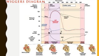 W IG G E RS DI A G R A M
 