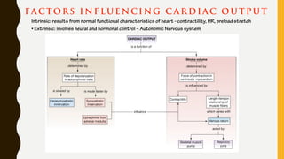FA C TORS I N F LU E NC I NG C A R DI A C O U T P U T
Intrinsic: results from normal functional characteristics of heart - contractility, HR, preload stretch
• Extrinsic: involves neural and hormonal control – Autonomic Nervous system
 