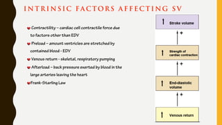 I N T R I N S IC FA C TORS A F F E C T I NG S V
Contractility – cardiac cell contractile force due
to factors other than EDV
Preload – amount ventricles are stretched by
contained blood - EDV
Venous return - skeletal, respiratory pumping
Afterload – back pressure exerted by blood in the
large arteries leaving the heart
Frank-Starling Law
 