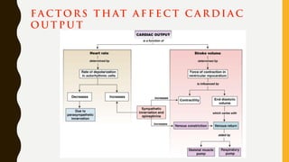 FA C TORS T H AT A F F E C T C A R DI A C
O U T P U T
 