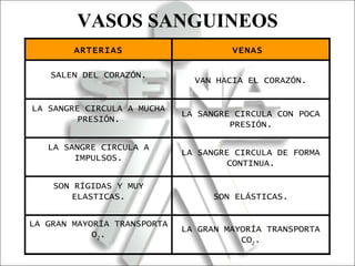 VASOS SANGUINEOS ARTERIAS VENAS  SALEN DEL CORAZÓN. VAN HACIA EL CORAZÓN. LA SANGRE CIRCULA A MUCHA PRESIÓN. LA SANGRE CIRCULA CON POCA PRESIÓN. LA SANGRE CIRCULA A IMPULSOS. LA SANGRE CIRCULA DE FORMA CONTINUA. SON RÍGIDAS  Y MUY ELASTICAS . SON ELÁSTICAS. LA GRAN MAYORÍA TRANSPORTA O 2 . LA GRAN MAYORÍA TRANSPORTA CO 2 . 