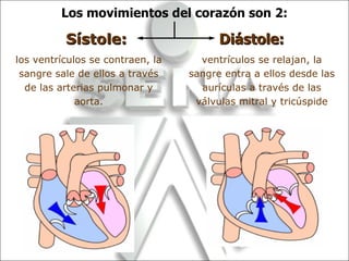 Los movimientos del corazón son 2: Sístole:   Diástole:  los ventrículos se contraen, la sangre sale de ellos a través de las arterias pulmonar y aorta. ventrículos se relajan, la sangre entra a ellos desde las aurículas a través de las válvulas mitral y tricúspide 