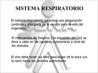 El intercambio de Oxigeno y la expulsión del Co2 se lleva a cabo en los capilares pulmonares a nivel de los alvéolos. SISTEMA RESPIRATORIO El sistema respiratorio garantiza una oxigenación continua y adecuada de la sangre para la vida del organismo. El aire debe tener vía libre para llegar de la boca y/o la nariz hasta los alvéolos pulmonares 