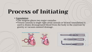 Process of Initiating
Cannulation:
The surgeon places two major cannulas:
Venous cannula (a single right atrial cannula or bicaval cannulation) is
used to drains deoxygenated blood from the body to the reservoir by
gravity or vacuum-assisted drainage .
 