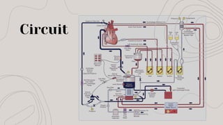 Circuit
 