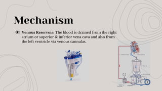Mechanism
01 Venous Reservoir: The blood is drained from the right
atrium or superior & inferior vena cava and also from
the left ventricle via venous cannulas.
 