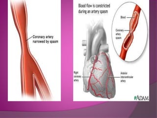 Cardio pulmonary pathophysiology