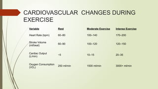 CARDIOPULMONARY RESPONSE DURING EXERCISE (1).pptx