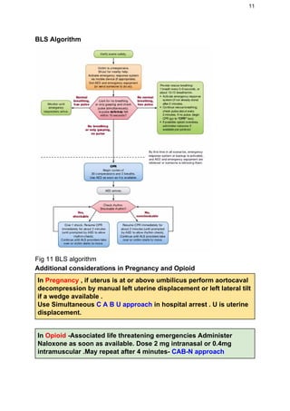 Bl Ribs Protocol Cardio pulmonary resuscitation | PDF