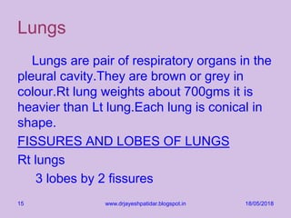 Lungs
Lungs are pair of respiratory organs in the
pleural cavity.They are brown or grey in
colour.Rt lung weights about 700gms it is
heavier than Lt lung.Each lung is conical in
shape.
FISSURES AND LOBES OF LUNGS
Rt lungs
3 lobes by 2 fissures
18/05/2018www.drjayeshpatidar.blogspot.in15
 