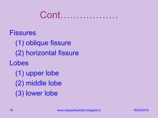 Cont………………
Fissures
(1) oblique fissure
(2) horizontal fissure
Lobes
(1) upper lobe
(2) middle lobe
(3) lower lobe
18/05/2018www.drjayeshpatidar.blogspot.in16
 