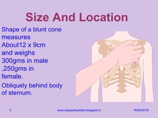 Size And Location
18/05/2018www.drjayeshpatidar.blogspot.in3
Shape of a blunt cone
measures
About12 x 9cm
and weighs
300gms in male
,250gms in
female.
Obliquely behind body
of sternum.
 