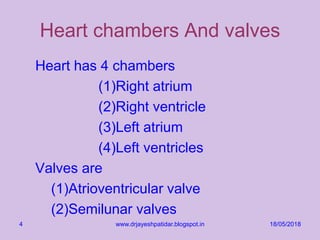 Heart chambers And valves
Heart has 4 chambers
(1)Right atrium
(2)Right ventricle
(3)Left atrium
(4)Left ventricles
Valves are
(1)Atrioventricular valve
(2)Semilunar valves
18/05/2018www.drjayeshpatidar.blogspot.in4
 