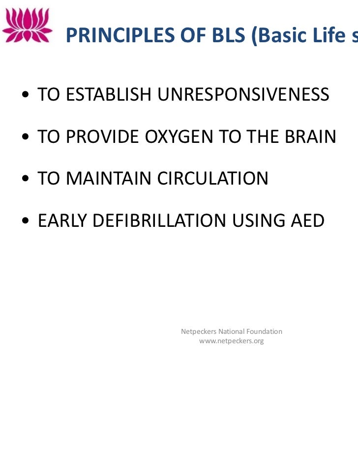 how to administer cardio pulmonary resuscitation Cardiopulmonary resuscitation essays population was trained in cardio pulmonary resuscitation how to administer cardiopulmonary resuscitation. how to administer cardio pulmonary resuscitation Cardiopulmonary resuscitation essays population was trained in cardio pulmonary resuscitation how to administer cardiopulmonary resuscitation.