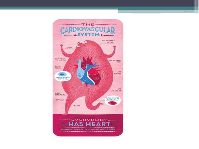Cardiopulmonary system overview | PPTX | Heart and Cardiovascular ...