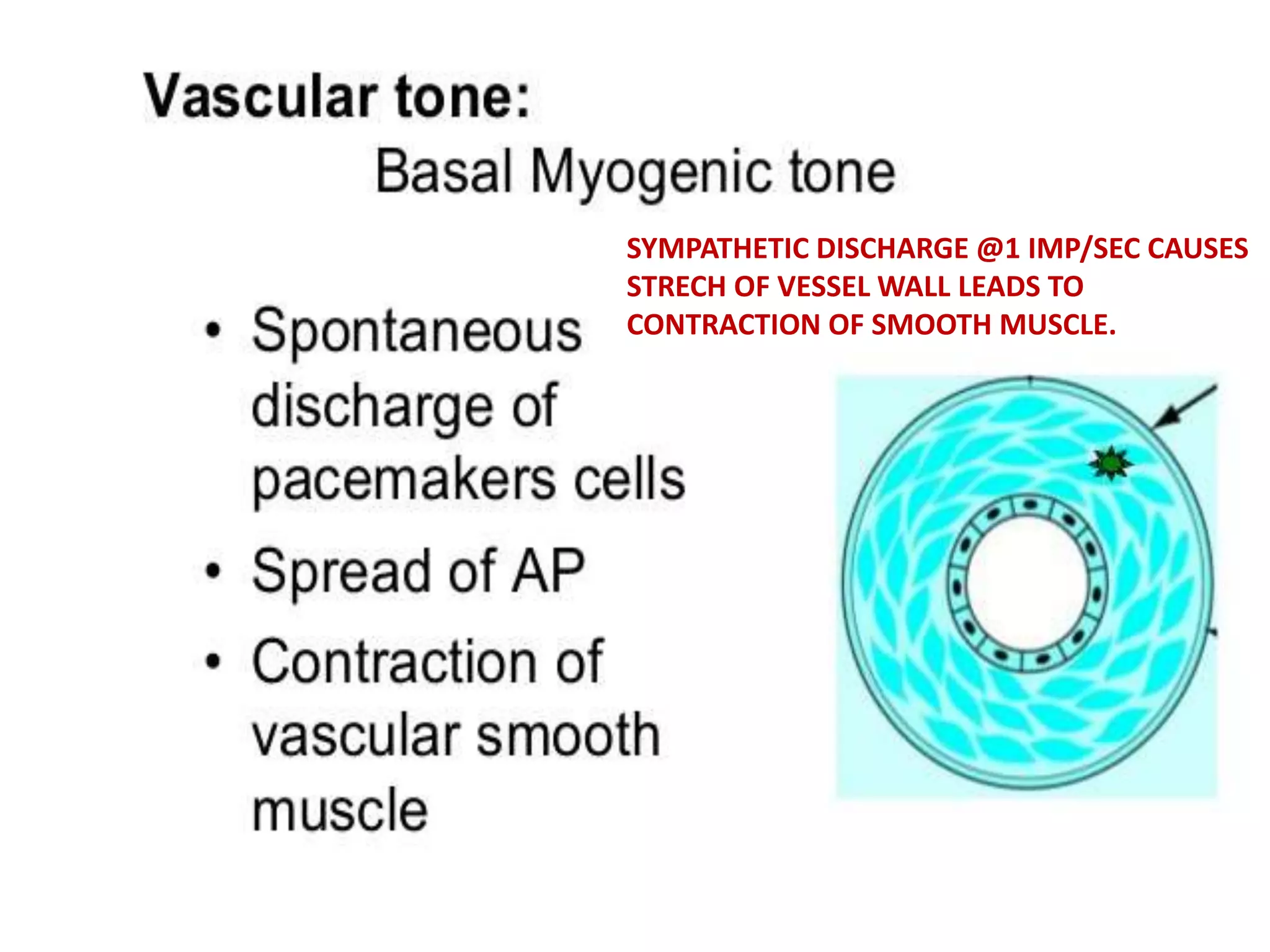 SYMPATHETIC DISCHARGE @1 IMP/SEC CAUSES
STRECH OF VESSEL WALL LEADS TO
CONTRACTION OF SMOOTH MUSCLE.