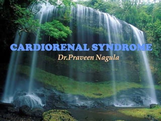 CARDIORENAL SYNDROME Dr.PraveenNagula Dr.Nagula Praveen  