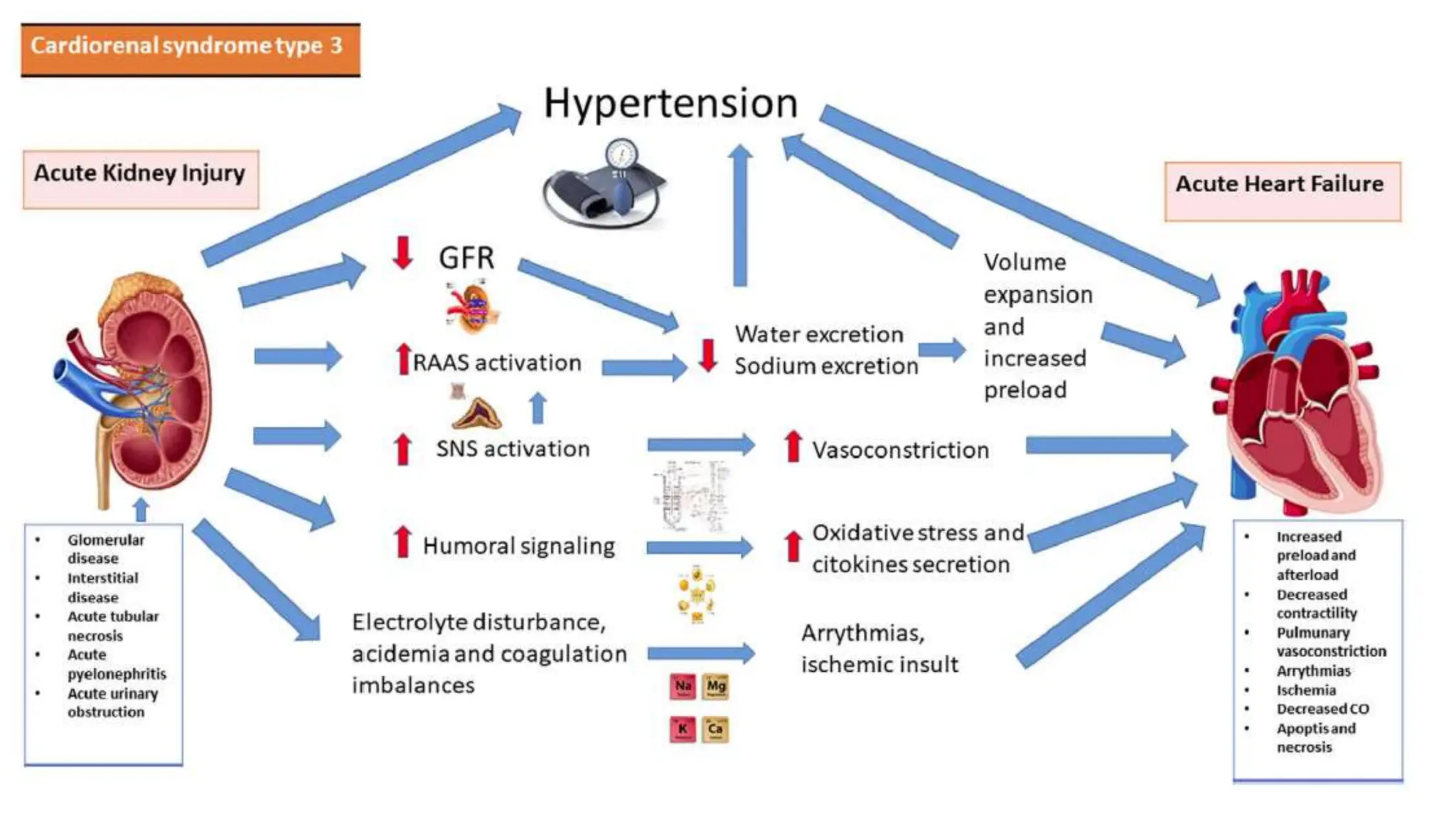 Cardio Renal Syndrome CRS All types.pptx
