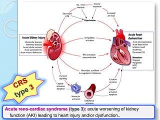 Cardiorenal syndrome prof.osama el-shahat | PPTX