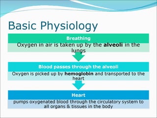 Basic Physiology 