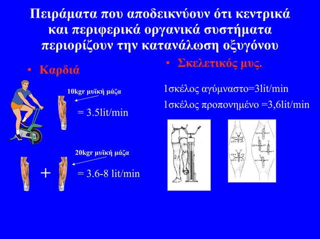 Cardiorespiratory endurance training | PPT