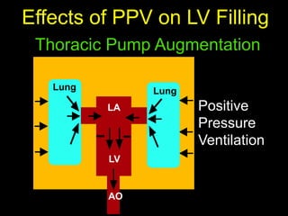 Cardiorespiratory Interactions