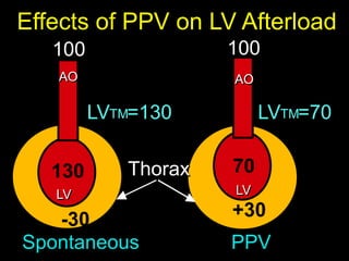 Cardiorespiratory Interactions