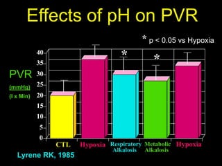 Cardiorespiratory Interactions