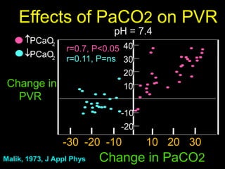 Cardiorespiratory Interactions