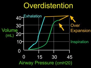 Cardiorespiratory Interactions