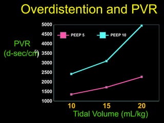 Cardiorespiratory Interactions