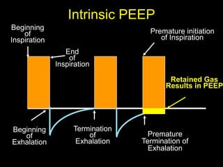 Cardiorespiratory Interactions