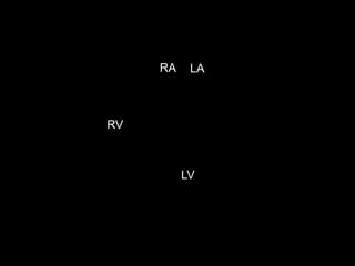 Cardiorespiratory Interactions