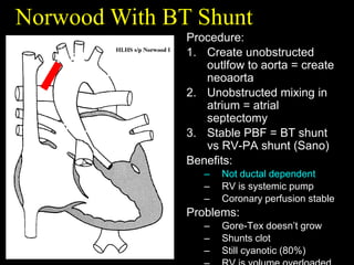 Cardiorespiratory Interactions