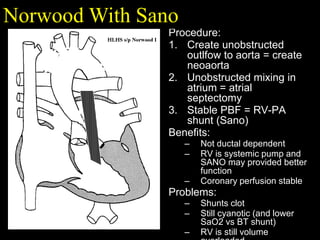 Cardiorespiratory Interactions