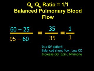 Cardiorespiratory Interactions