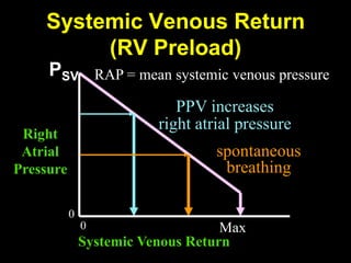 Cardiorespiratory Interactions