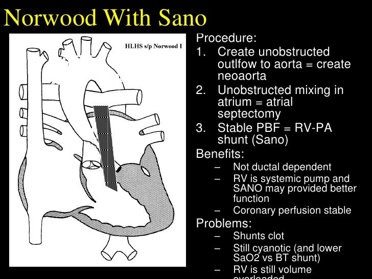Cardiorespiratory Interactions