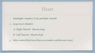 Heart
1. Small upper chambers (Left and RightAtrium)
2. Large lower chambers
A. Right Ventricle - blood to lungs
B. Left Ventricle - blood to body
3. Valves control ﬂuid travel between chambers and between vessels.
 