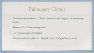 Pulmonary Circuit
1. Blood travels from the heart (Right Ventricle) to the lungs via the pulmonary
arteries
2. This blood is said to be deoxygenated
3. Gas exchange occurs in the lungs
4. Blood travels back to the heart (LeftAtrium) via the pulmonary veins.
 