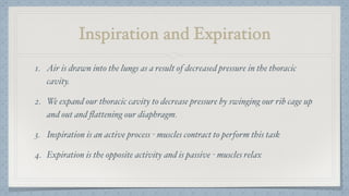 Inspiration and Expiration
1. Air is drawn into the lungs as a result of decreased pressure in the thoracic
cavity.
2. We expand our thoracic cavity to decrease pressure by swinging our rib cage up
and out and ﬂattening our diaphragm.
3. Inspiration is an active process - muscles contract to perform this task
4. Expiration is the opposite activity and is passive - muscles relax
 