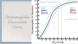 Oxyhemoglobin
Dissociation
Curve
 