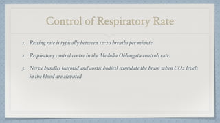 Control of Respiratory Rate
1. Resting rate is typically between 12-20 breaths per minute
2. Respiratory control centre in the Medulla Oblongata controls rate.
3. Nerve bundles (carotid and aortic bodies) stimulate the brain when CO2 levels
in the blood are elevated.
 