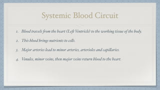Systemic Blood Circuit
1. Blood travels from the heart (Left Ventricle) to the working tissue of the body.
2. This blood brings nutrients to cells.
3. Major arteries lead to minor arteries, arterioles and capillaries.
4. Venules, minor veins, then major veins return blood to the heart.
 