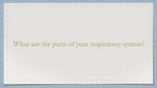What are the parts of your respiratory system?
 
