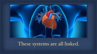 These systems are all linked.
 