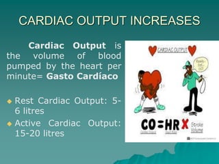 CARDIAC OUTPUT INCREASES
Cardiac Output is
the volume of blood
pumped by the heart per
minute= Gasto Cardíaco
 Rest Cardiac Output: 5-
6 litres
 Active Cardiac Output:
15-20 litres
 