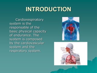 INTRODUCTION
Cardiorespiratory
system is the
responsable of the
basic physical capacity
of endurance. The
system is composed
by the cardiovascular
system and the
respiratory system.
 